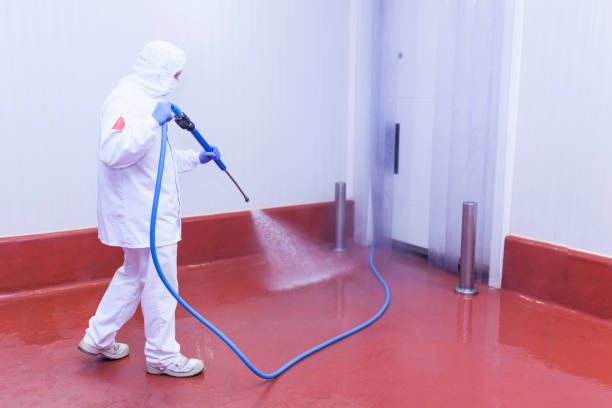 Trusted Bullard, TX Pressure Washing Experts